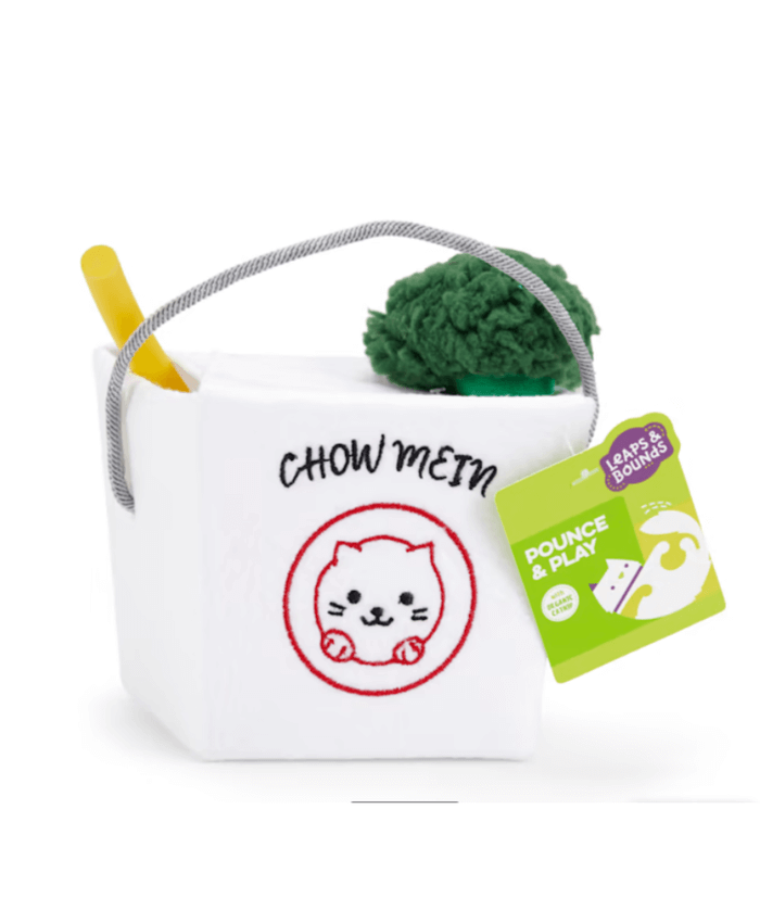 Leaps & Bounds Noodle Box Cat Toy Set